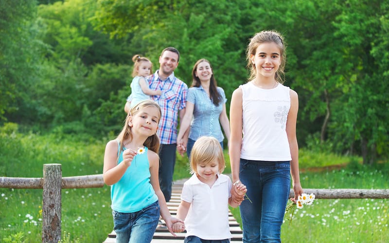 მრავალშვილიანი ოჯახების სოციალური დაცვის პროგრამა