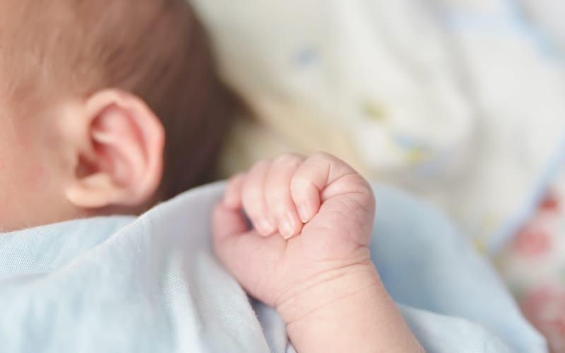 სოციალურად დაუცველ ჩვილ ბავშვთა კვების პროგრამა