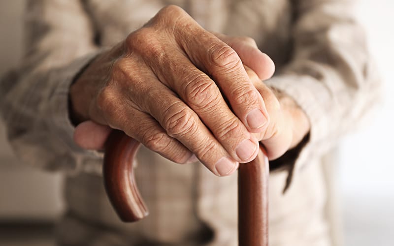 სოციალურად დაუცველი მარტოხელა პენსიონერების დახმარების პროგრამა