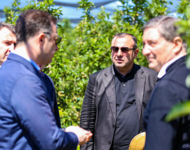 სოფლის მეურნეობის მინისტრის ვიზიტი გარდაბანში